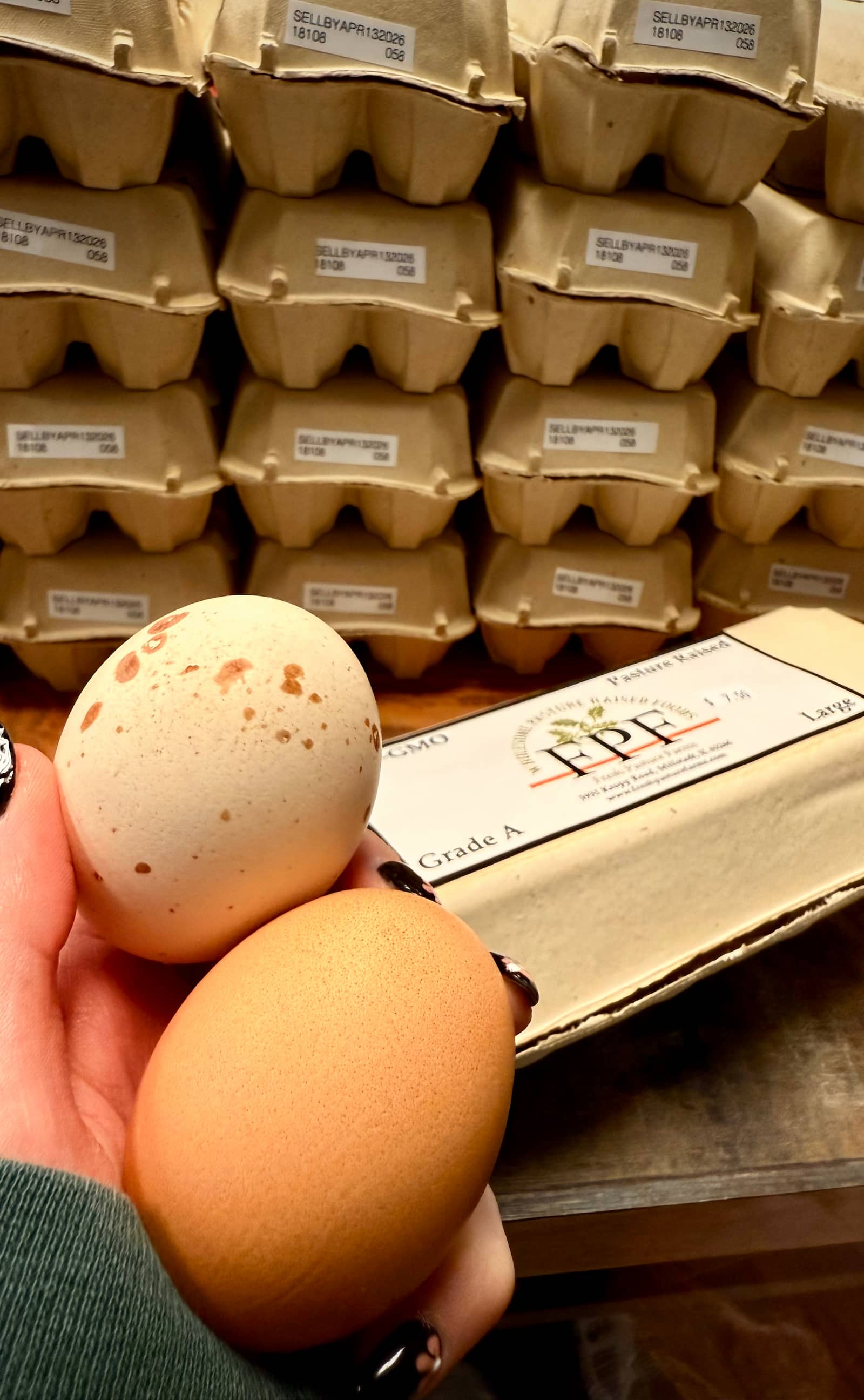 Organic farm-fresh eggs from local producers in Monroe County