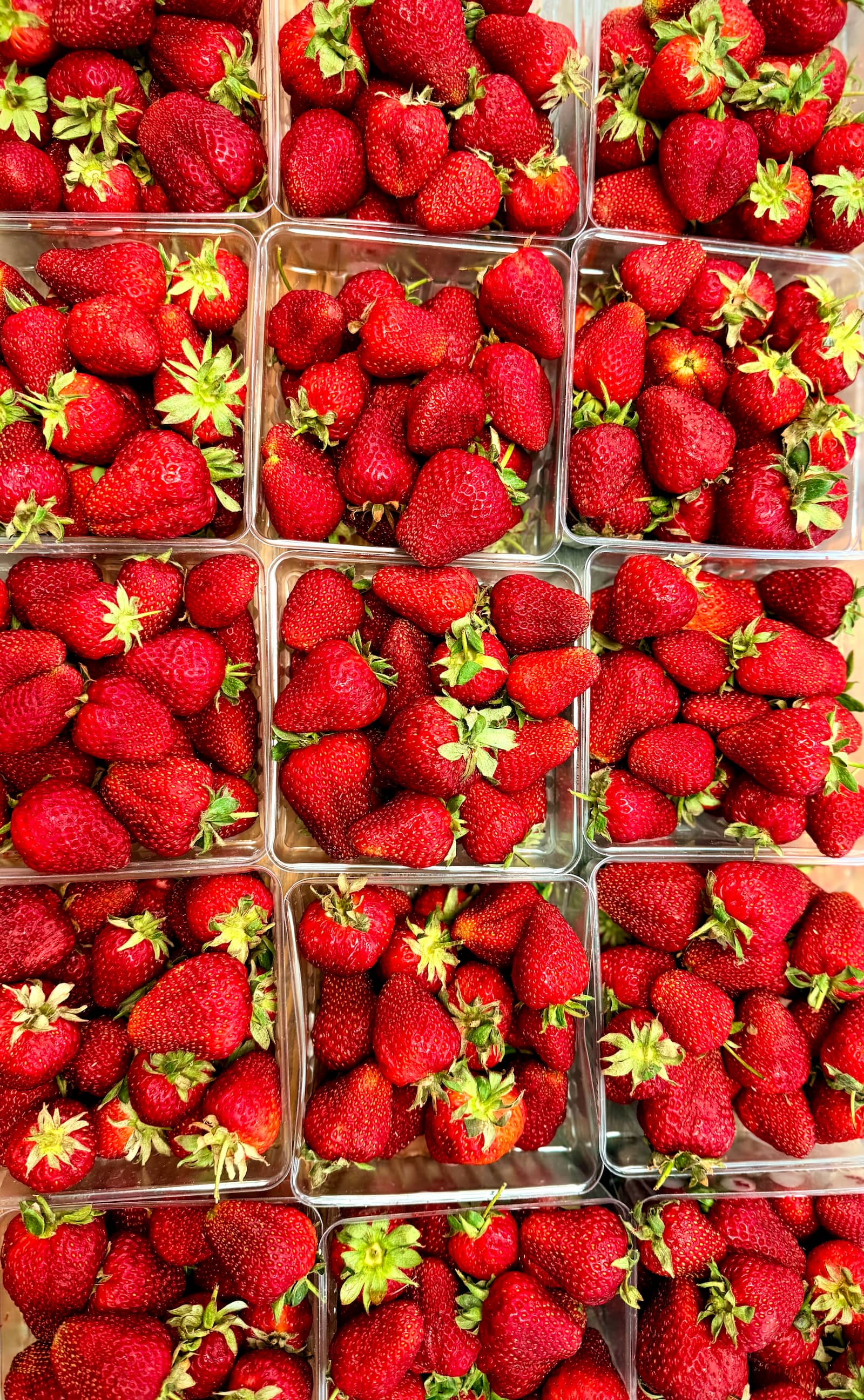 Fresh organic strawberries ready for use in the wellness bar